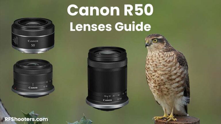 Best Lenses For The Canon EOS R50 In 2024 RF Shooters