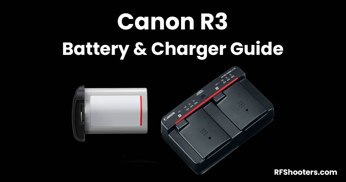 Canon LC-E4N Battery Charger