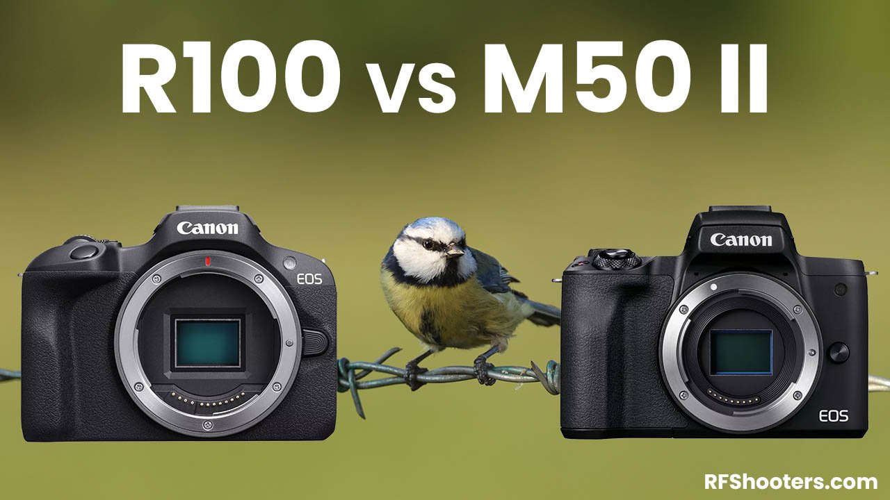Canon R100 vs M50 II - A Detailed Comparison - RF Shooters