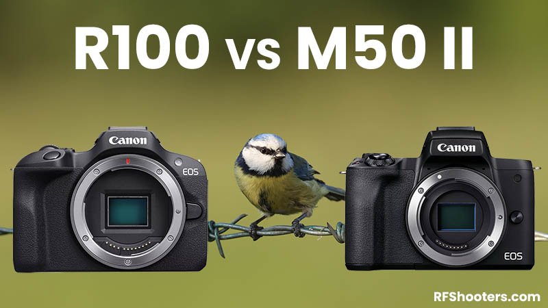 Canon EOS R100 vs M50 II 