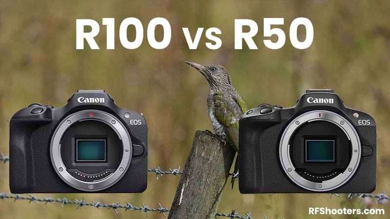 Canon EOS R100 vs R50
